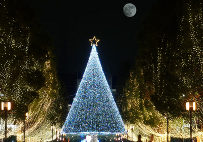 Honolulu City Lights Opening Night 2025: Survive the Crowds, Nail the Photos