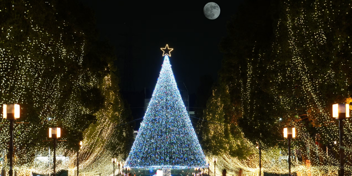 Árbol iluminado con fondo nocturno, luna y luces de la calle de fondo.