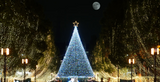 Lighted tree in a night back drop with moon and street lights in the background