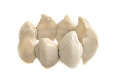 Tagua Nut Jewelry: The Sustainable Alternative to Ivory