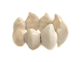 Tagua Nut Jewelry: The Sustainable Alternative to Ivory