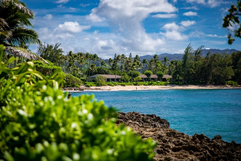 L'essentiel en matière de serviettes de plage&nbsp;: Saint-Valentin à Hawaï&nbsp;: Pique-niques sur la plage et escapades en amoureux