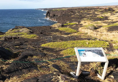 Scenic Drives in Hawaii: Road Trip Itineraries