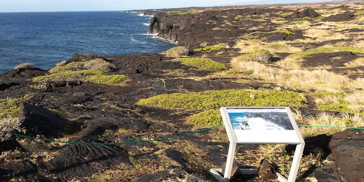 Scenic Drives in Hawaii: Road Trip Itineraries