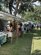 Waikiki Artfest: Local Creators and Crafts (February 22, 2026)