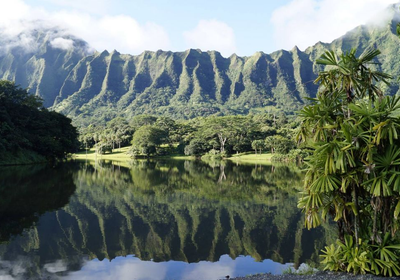 2025 Keiki Holiday Photo Locations That Aren’t Honolulu Hale