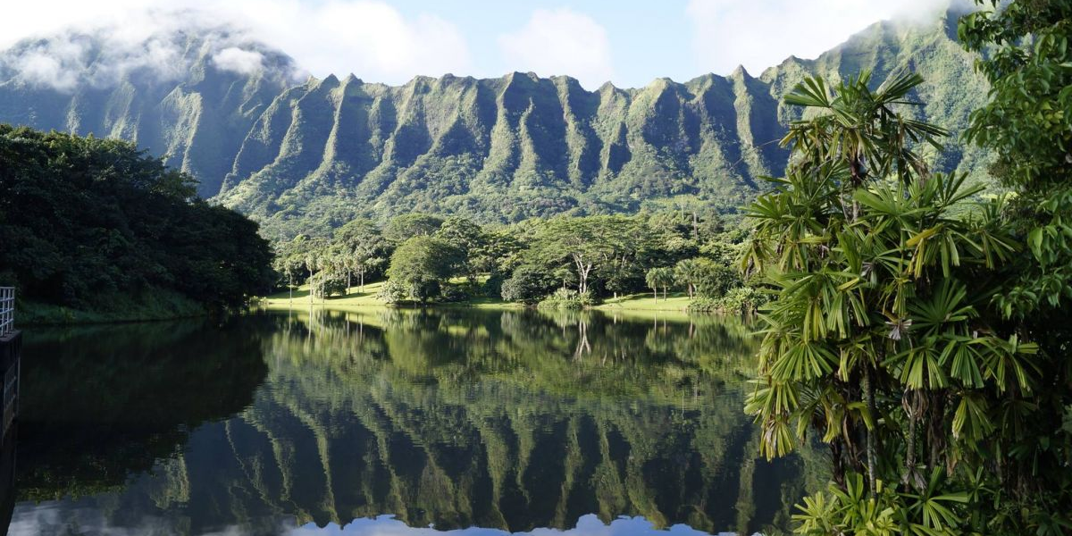 2025 Keiki Holiday Photo Locations That Aren’t Honolulu Hale