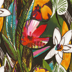 Bandeau - Estragon - jamsworld.com