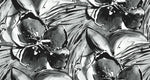 Extensor de mascarilla Jams World (juego de 2) - jamsworld.com