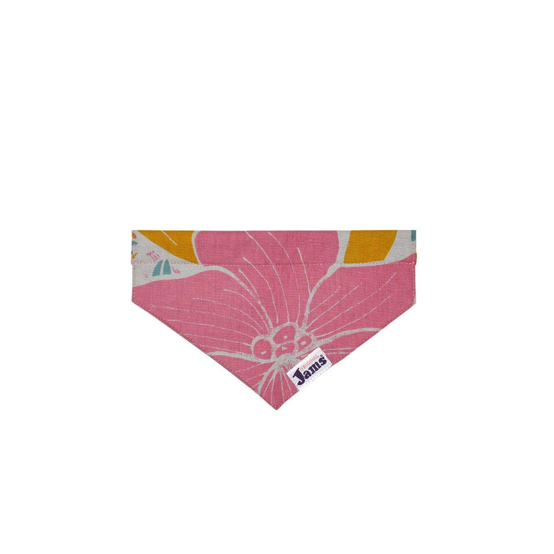 Bufanda con cuello para mascota - Jams Dwarfana Natural & Dragon Fly Orange - jamsworld.com