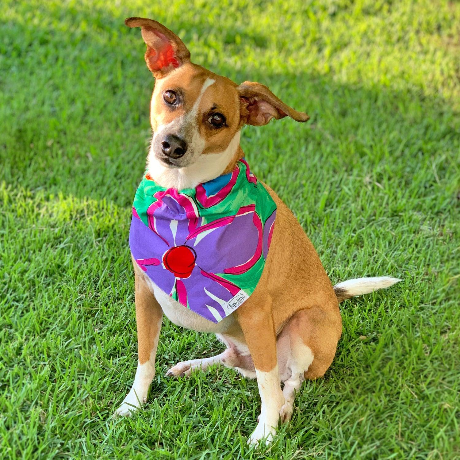 Bufanda con cuello para mascotas - Surf Line Hawaii Na Pua Flower - jamsworld.com